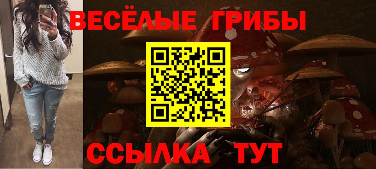 Псилоцибиновые грибы Psilocybine cubensis  Псилоцибиновые грибы Magic Shrooms  Ростов Великий  Вход с VPN 